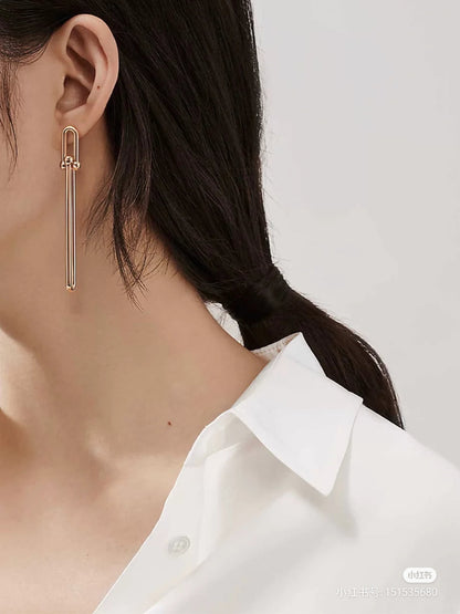 [Hyrra Jewelry]HARDWEAR DOUBLE LONG LINK EARRINGS