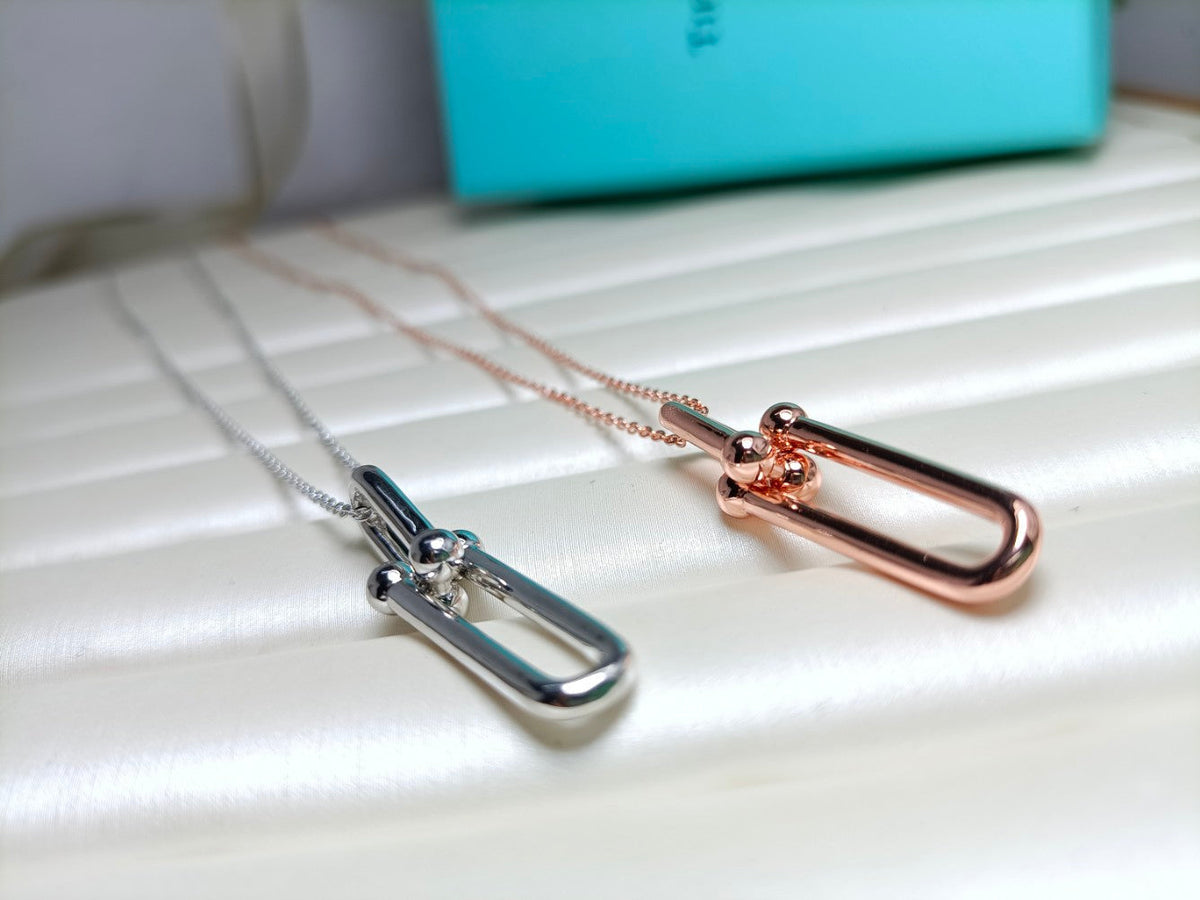 [Hyrra Jewelry]HARDWEAR DROP DOUBLE LINK PEDANT NECKLACE