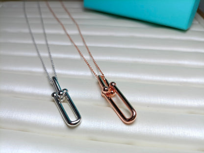 [Hyrra Jewelry]HARDWEAR DROP DOUBLE LINK PEDANT NECKLACE