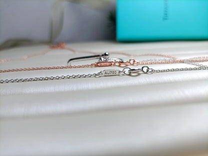 [Hyrra Jewelry]HARDWEAR DROP DOUBLE LINK PEDANT NECKLACE