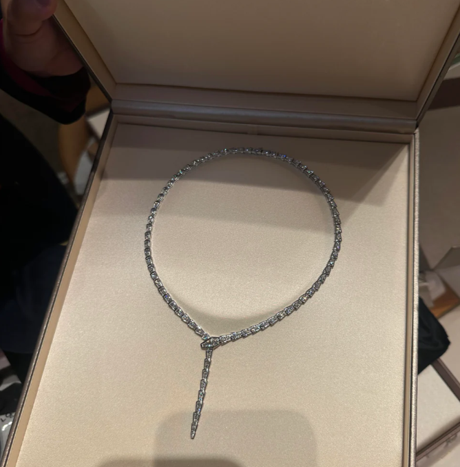 [⭐Hyrra Jewelry]NEW！SERPENT DIAMOND NECKLACE