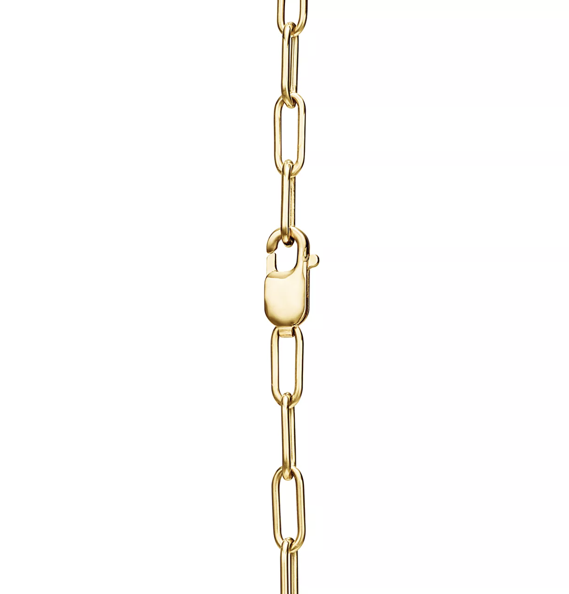 [Hyrra Jewelry]LOCK NECKLACE GOLD