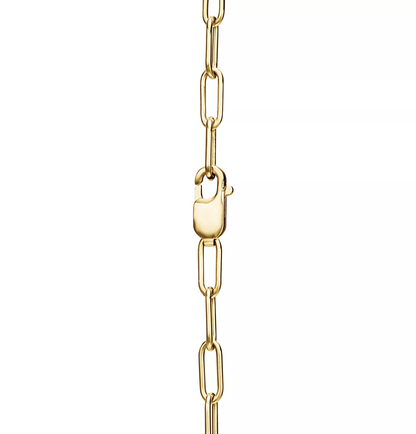 [Hyrra Jewelry]LOCK NECKLACE GOLD