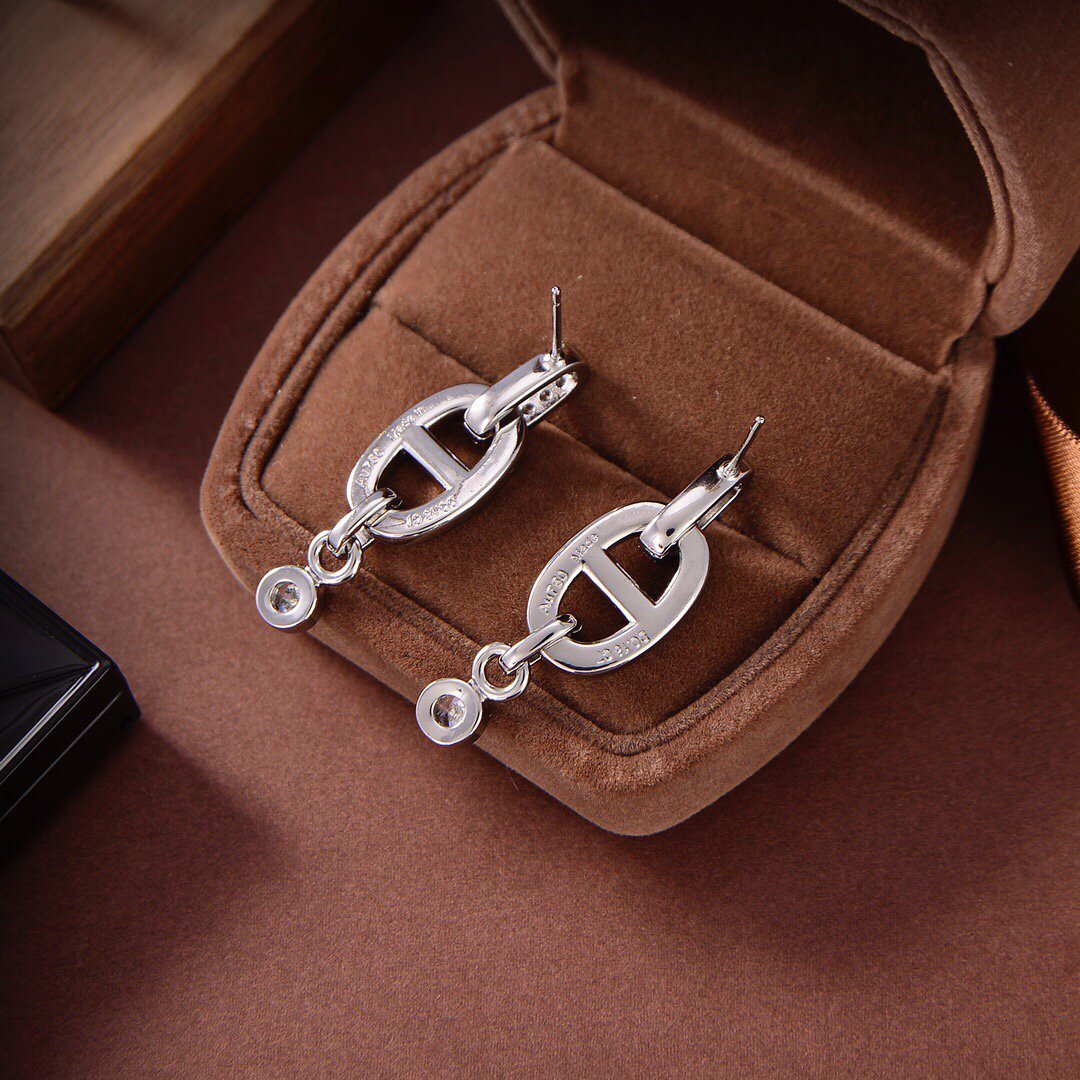 [⭐Hyrra Jewelry]HM CHAINE DIAMOND EARRINGS